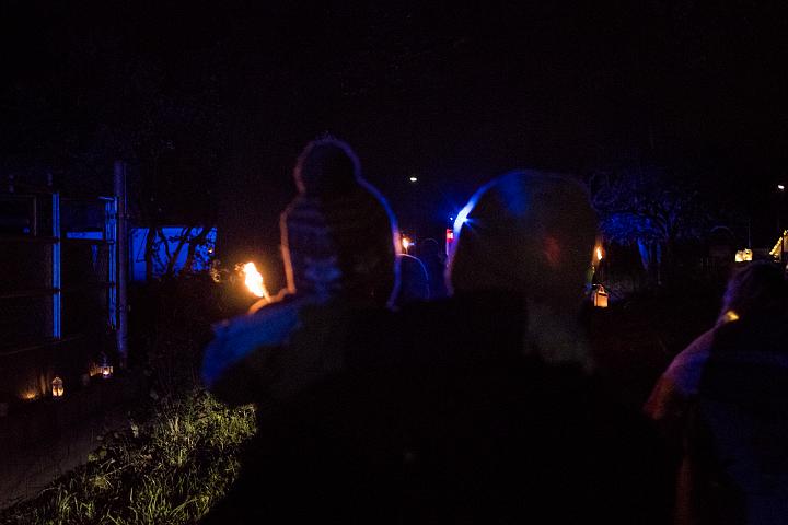 Bild: 20241116-184517.jpg